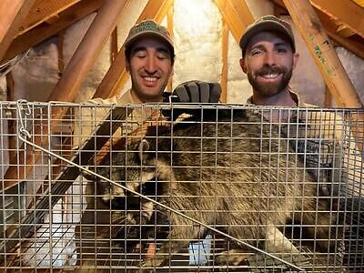 Trenton pest control